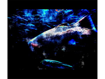 BGM Materials 4 : Sea of Memories [Nobody Circus]