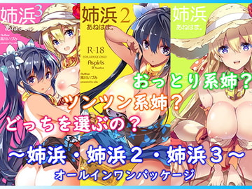 姉浜。・姉浜。2・姉浜。3 オールインワンパック [odin]