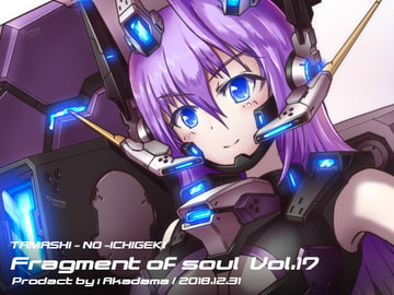 Fragment of soul vol.17 [魂の一撃]