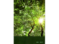 魔剣 捜索中 [夕空と蜜柑]