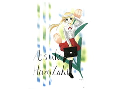 Asuka Illusion Memorial Illustration Collection 2 [Mikuna Shirohashi]
