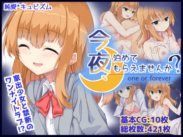 今夜、泊めてもらえませんか? -one or forever- [純愛*キュビズム]