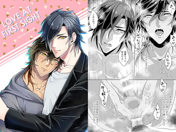 LOVE AT FIRST SIGHT [500]