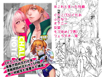 Chaldea Note α [MECCHORI.]