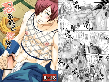 忍ぶれど恋は。 [イツキ調査団]