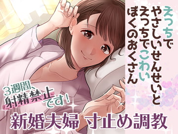 えっちでやさしいせんせいとえっちでこわいぼくのおくさん [紅白屋]