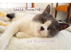 ASMR■Lucid Dreaming…[[熟睡サポート音声]] [Evangelist ASMR]