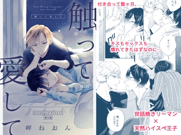 触って 愛して [mer]