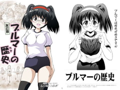 ブルマーの歴史・改訂版 [オペレーション・ボックス]