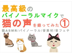 I Recorded Cats With a High-Quality Binaural Mic (ASMR) [Yorumaga!-ASMR Night Life Media-]