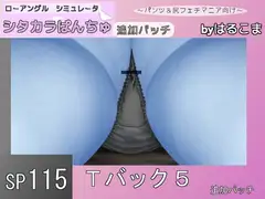 SP115 Tバック5追加パッチ