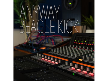 ANYWAY Multi Track [Beagle Kick]