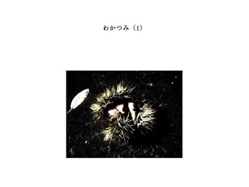 わかつみ [RoundGoGRound]