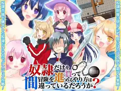 奴○だけを買って冒険を進めるやり方は間違っているだろうか?