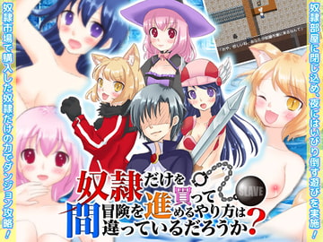 奴○だけを買って冒険を進めるやり方は間違っているだろうか? [GIGDISPLAY]