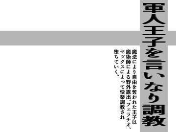 軍人王子を言いなり調教 [灼熱の砲撃]