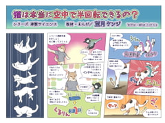 猫は本当に空中で半回転できるの? [エコビースト]