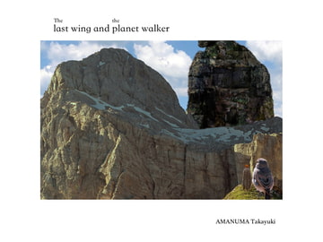 The last wing and the planet walker [Natural Wings]