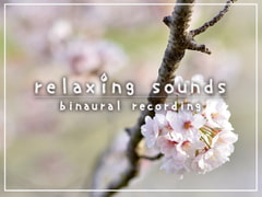 眠れない夜、最後に聴く音 #11 [abyssal forest]