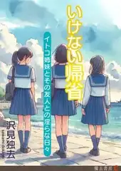 いけない帰省―イトコ姉妹とその友人との淫らな日々