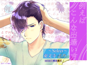 例えばこんな出逢い方‐select東文寺志乃‐ [サークル夜市]
