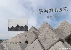 駿河国消波記-田子の浦編-