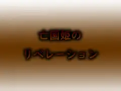 亡国姫のリベレーション