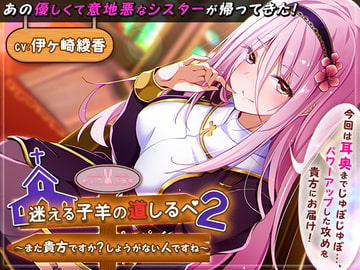 A Guide for Lost Sheep 2 ~You Again? You're Hopeless~ [ChocoUsagi]