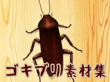 ゴキブリ素材集 [ART111]