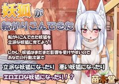 妖狐が転がりこんできた [苗木堂]