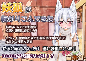 妖狐が転がりこんできた [苗木堂]