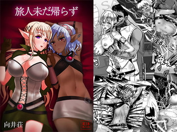旅人未だ帰らず [向井荘]
