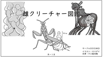 雌クリーチャー図鑑Vol.1 [DDSMD]