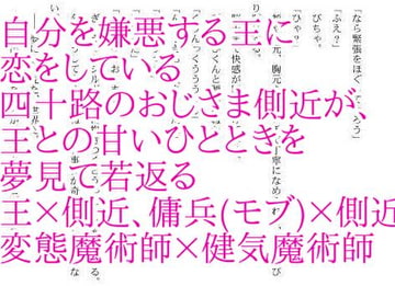四十路の側近はただ王の傍にいたい [彩愛]