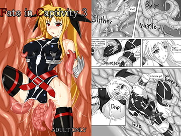 囚われの執務官 3(English Ver) [Misty Wind]