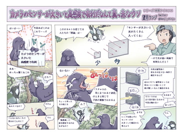 カメラのセンサーが大きいと高感度で有利だなんて真っ赤なウソ [エコビースト]