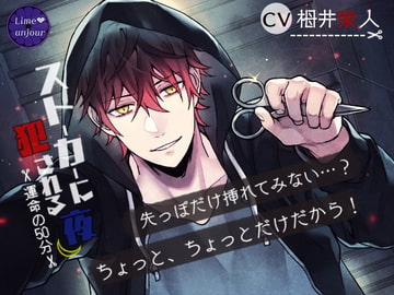 ストーカーに犯される夜 [Lime unjour]