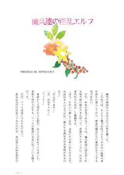 傭兵達の淫乱エルフ [彩愛]