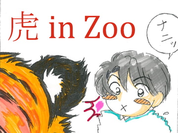 虎 in Zoo [チューリップ庵]