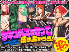 サキュバスを狩って成り上がろう! [第七飛行中隊(紫電改)]