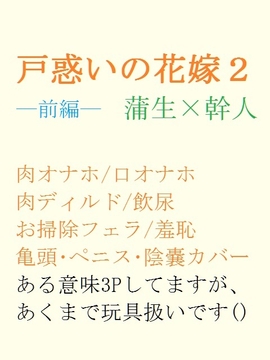 戸惑いの花嫁2ー前編ー [gooneone]