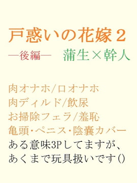 戸惑いの花嫁2ー後編ー [gooneone]