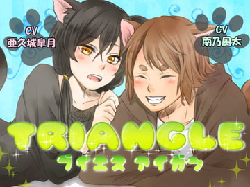 TRIANGLE VS愛玩 [モノクロスカイ]