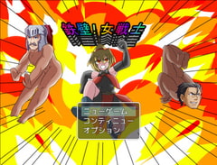 鉄壁!女戦士 [幻想観測所]