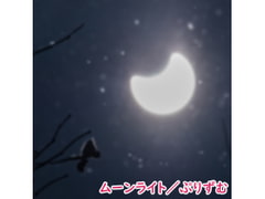 【シングル】ムーンライト/ぷりずむ [なないろぼっくす]