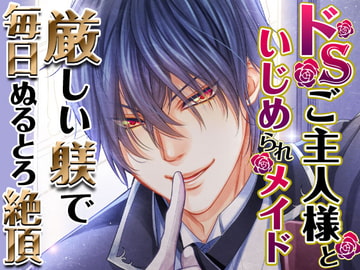 ドSご主人様といじめられメイド [オトメドラマ]