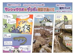 サンショウウオ対ザリガニ朝鮮半島にて [エコビースト]