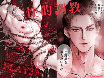 性的調教PLAY3 [Paramour]
