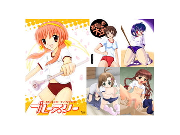 Blommers3 [ぶる〜まうんてん]