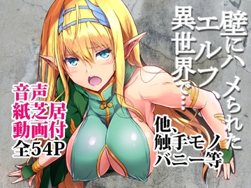 壁にハメられたエルフ異世界で…色々オリジナル本セット [ARE]